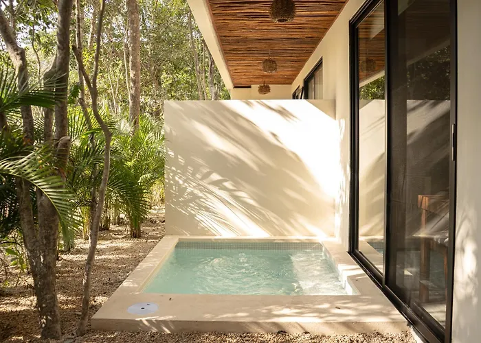 Apartment 1 Bedroom-tulum-private Pool Tulum