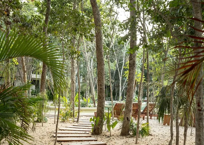1 Bedroom-tulum-private Pool Tulum